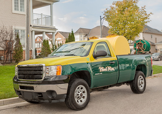 Programme d’entretien de pelouse Weed Man